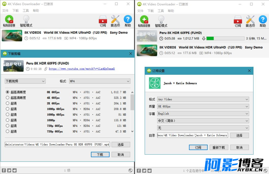 4K Video Downloader v4.31.0.0091/4K视频下载器/油管高清视频下载利器