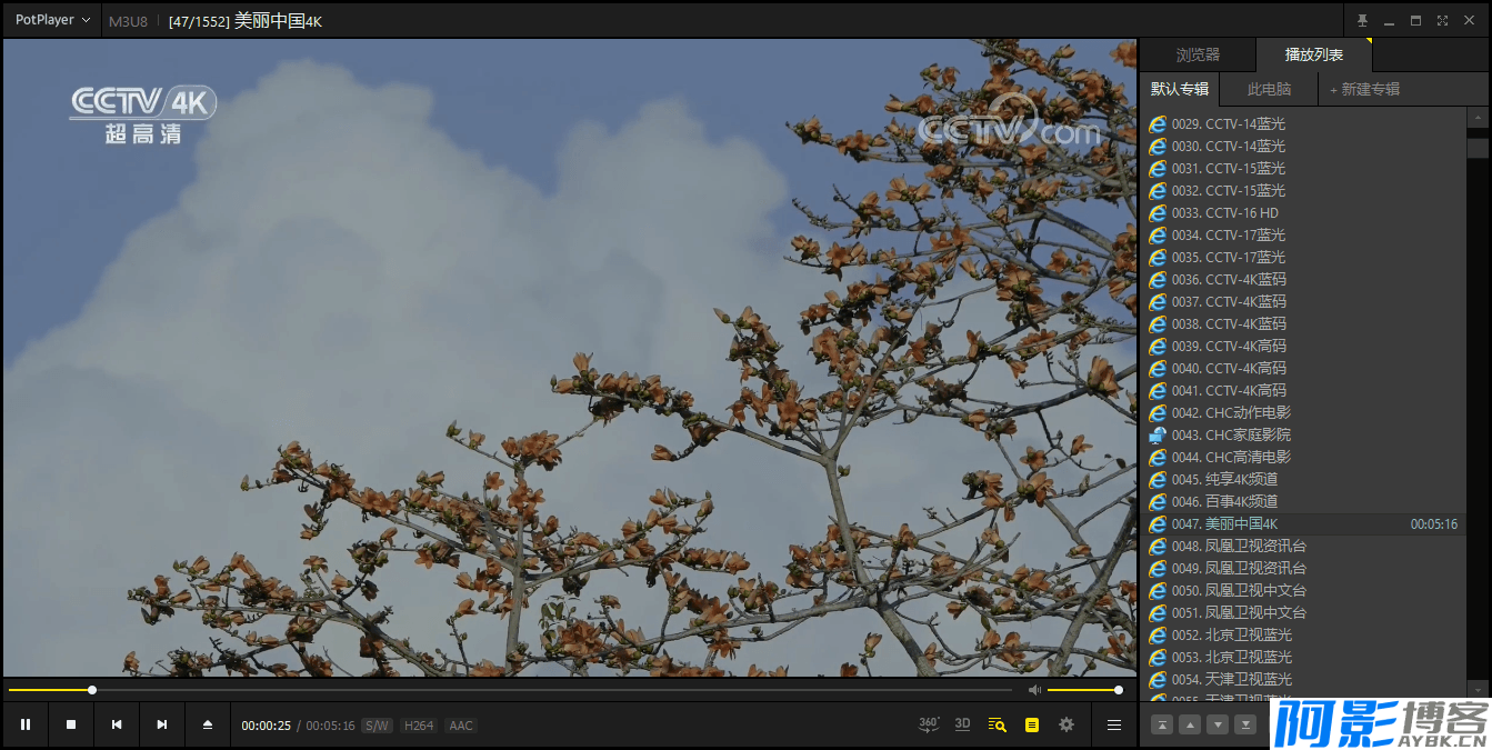 PotPlayer v1.7.22541绿色版