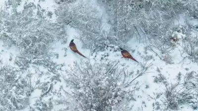 视觉盛宴下的美味猜想,分类:🎊精选壁纸,发布时间:2026-01-09 视觉盛宴下的美味猜想,分类:🎊精选壁纸,标签:美食美学, 口味探索, 美食评价