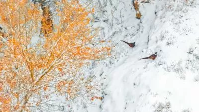 视觉盛宴下的美味猜想,分类:🎊精选壁纸,发布时间:2026-01-09 视觉盛宴下的美味猜想,分类:🎊精选壁纸,标签:美食美学, 口味探索, 美食评价