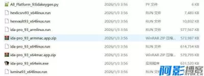IDA Pro 9.3全平台破解版与注册脚本详解