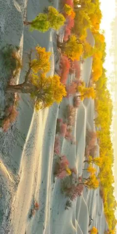 2025年南疆扫秋季取得圆满成功,分类:🎊精选壁纸,发布时间:2026-01-09 2025年南疆扫秋季取得圆满成功,分类:🎊精选壁纸,标签:南疆, 非法色情, 清剿行动, 结束, 社会秩序