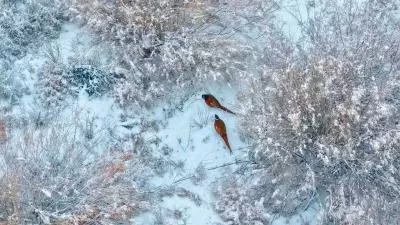 视觉盛宴下的美味猜想,分类:🎊精选壁纸,发布时间:2026-01-09 视觉盛宴下的美味猜想,分类:🎊精选壁纸,标签:美食美学, 口味探索, 美食评价