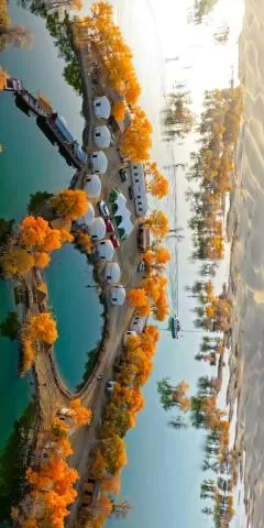 2025年南疆扫秋季取得圆满成功,分类:🎊精选壁纸,发布时间:2026-01-09 2025年南疆扫秋季取得圆满成功,分类:🎊精选壁纸,标签:南疆, 非法色情, 清剿行动, 结束, 社会秩序