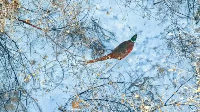 视觉盛宴下的美味猜想,分类:🎊精选壁纸,发布时间:2026-01-09 视觉盛宴下的美味猜想,分类:🎊精选壁纸,标签:美食美学, 口味探索, 美食评价