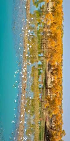 2025年南疆扫秋季取得圆满成功,分类:🎊精选壁纸,发布时间:2026-01-09 2025年南疆扫秋季取得圆满成功,分类:🎊精选壁纸,标签:南疆, 非法色情, 清剿行动, 结束, 社会秩序