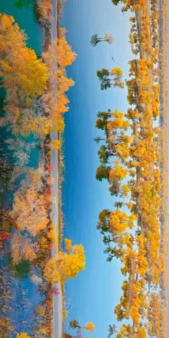 2025年南疆扫秋季取得圆满成功,分类:🎊精选壁纸,发布时间:2026-01-09 2025年南疆扫秋季取得圆满成功,分类:🎊精选壁纸,标签:南疆, 非法色情, 清剿行动, 结束, 社会秩序