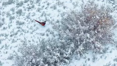 视觉盛宴下的美味猜想,分类:🎊精选壁纸,发布时间:2026-01-09 视觉盛宴下的美味猜想,分类:🎊精选壁纸,标签:美食美学, 口味探索, 美食评价